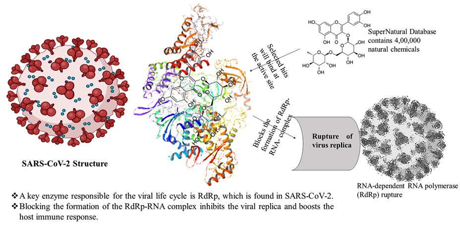 Graphical Abstract